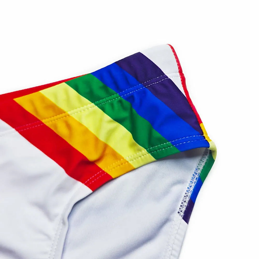 Rainbow Stripe Swim Briefs