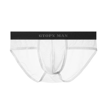 GX Ice Silk Briefs