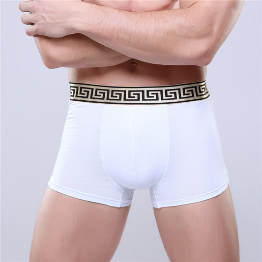 Olympus Boxer Briefs