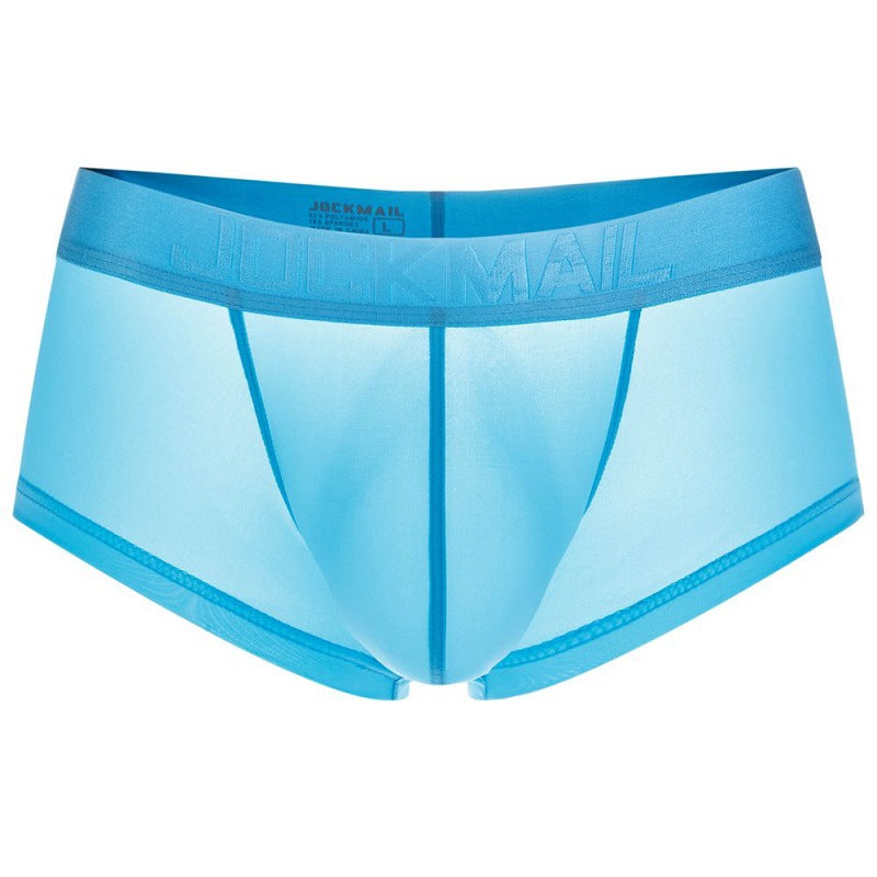 Transparent Silky Boxer Briefs